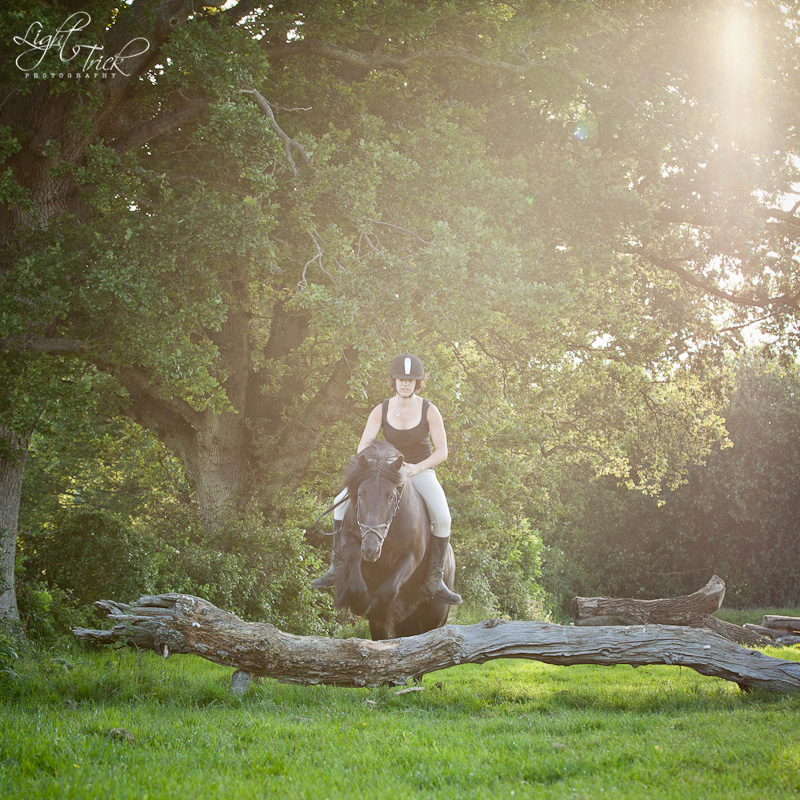 s20120620194751-2 horse jumping without a saddle